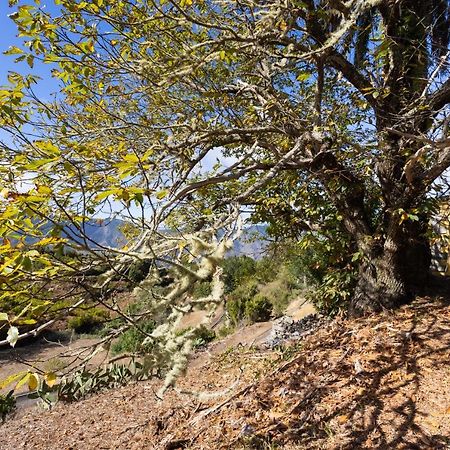 Home2Book Las Mimbreras Agulo Εξωτερικό φωτογραφία
